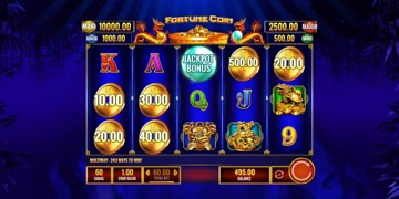 Slot Brand Image for Fortune Coin