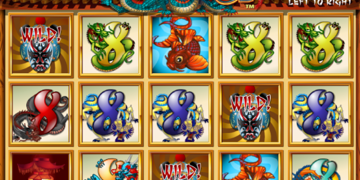 Slot Brand Image for Dragon 8s