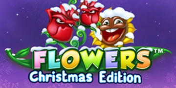 Slot Brand Image for Flowers Christmas