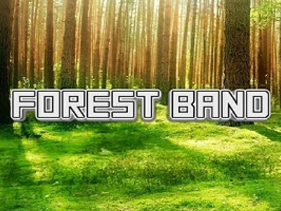 Slot Brand Image for Forest Band