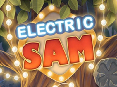 Slot Brand Image for Electric Sam
